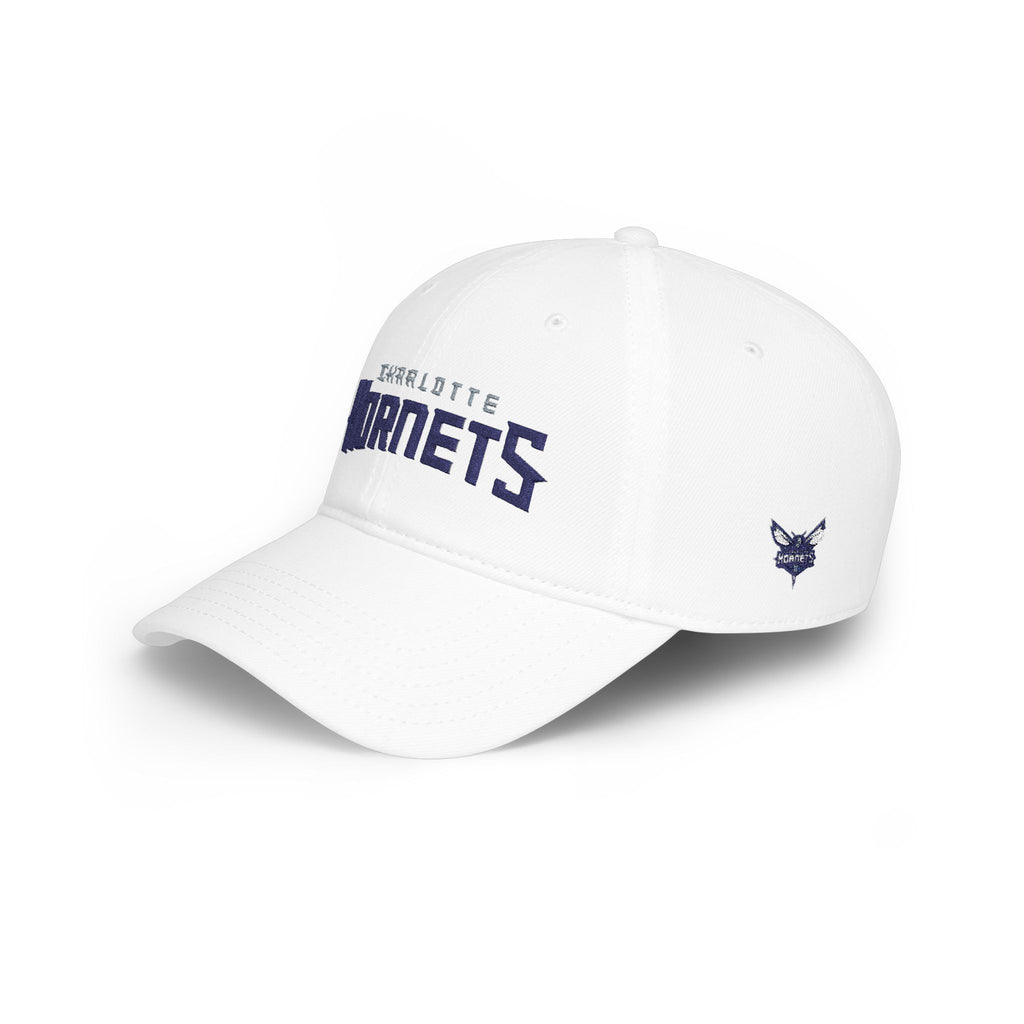 Charlotte Hornets Vintage Embroidered Dad Hat | Unisex Low-Profile Baseball Cap