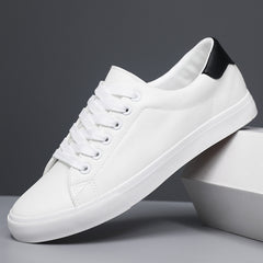 Breathable Mesh Surface Comfortable Men's Shoes Casual Multicolor Sneaker