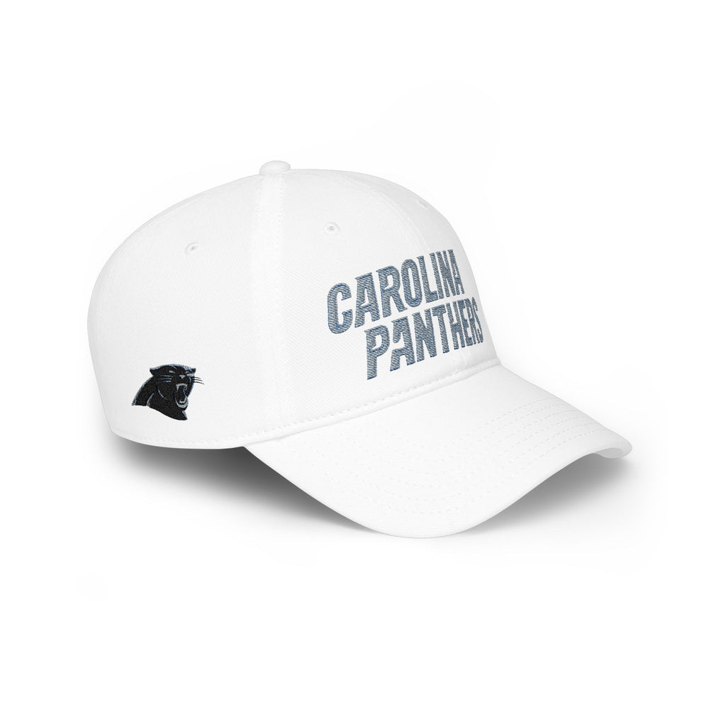 Low Profile Baseball Cap