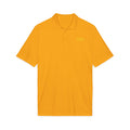 HypeandStitch Elite Performance Anti-Sweat Polo